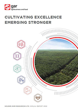 Annual Report 2022
