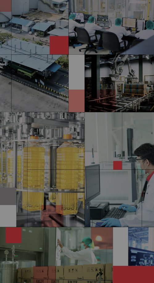 Smart, fast, automated: The future of palm oil processing