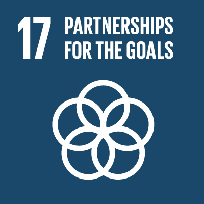 Ahead of the Sustainable Development Goals – 5