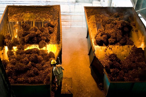 Creating a sustainable palm oil supply chain – 2